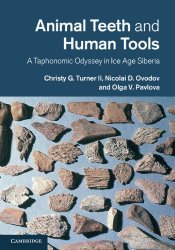 Animal Teeth and Human Tools: A Taphonomic Odyssey in Ice Age Siberia