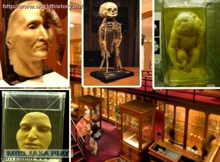 Scary museums
