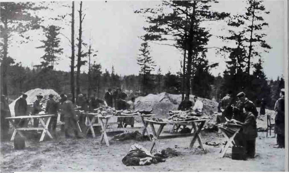 Massacre at Katyn
