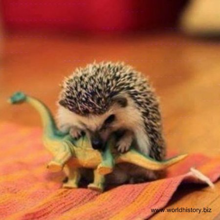 Why Did All Dinosaurs Become Extinct?