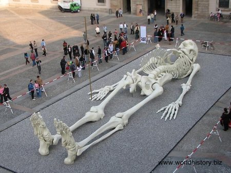 Giant Human Skeletons
