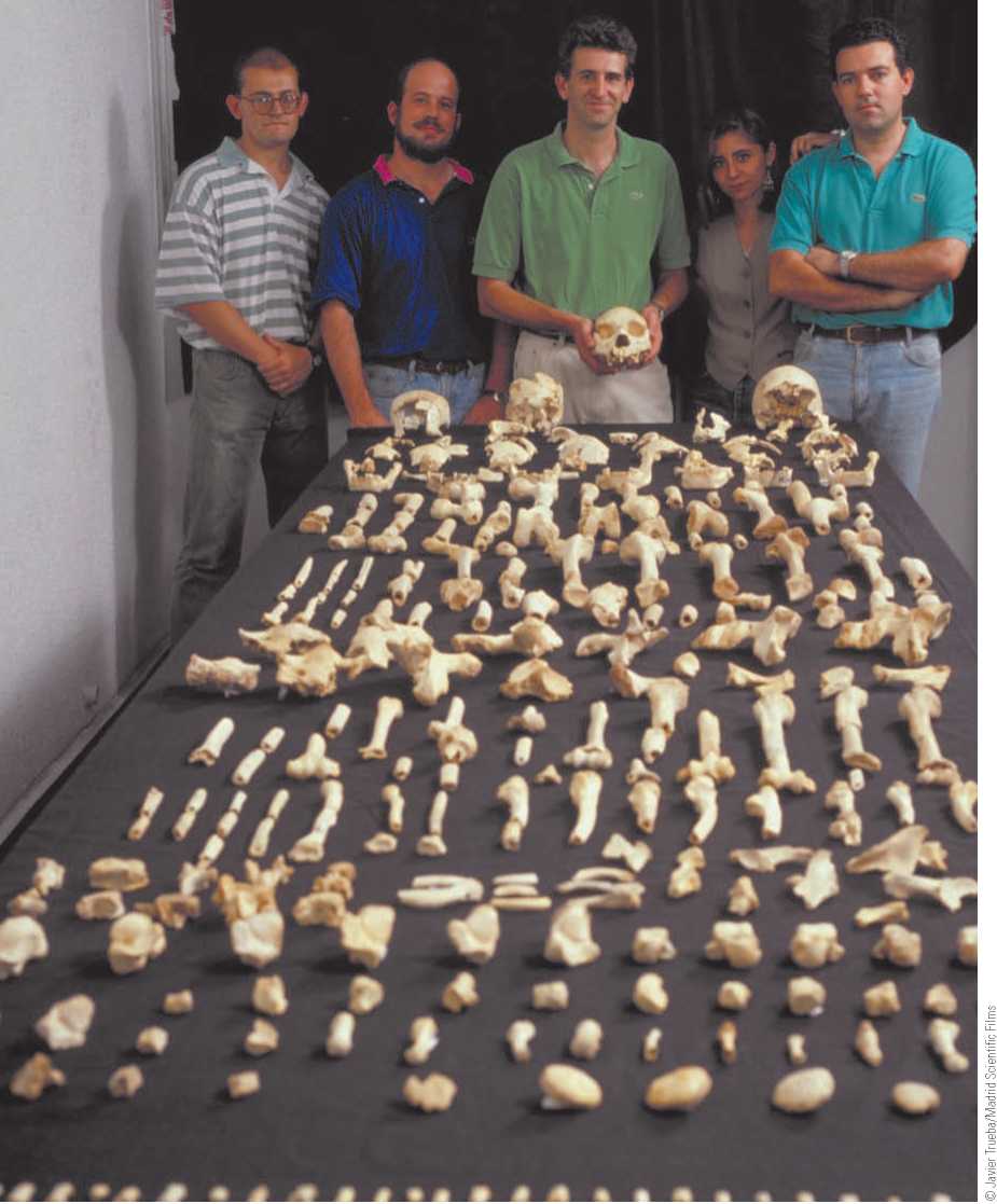 Early Representatives Of the Genus Homo