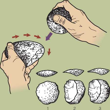 The Discovery of the First Stone Toolmaker